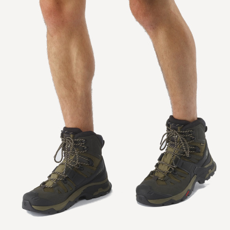 Ботинки QUEST 4 GTX (RU 43 UK 9.5 USm 10 СМ 27.5; olive night/peat/safari)